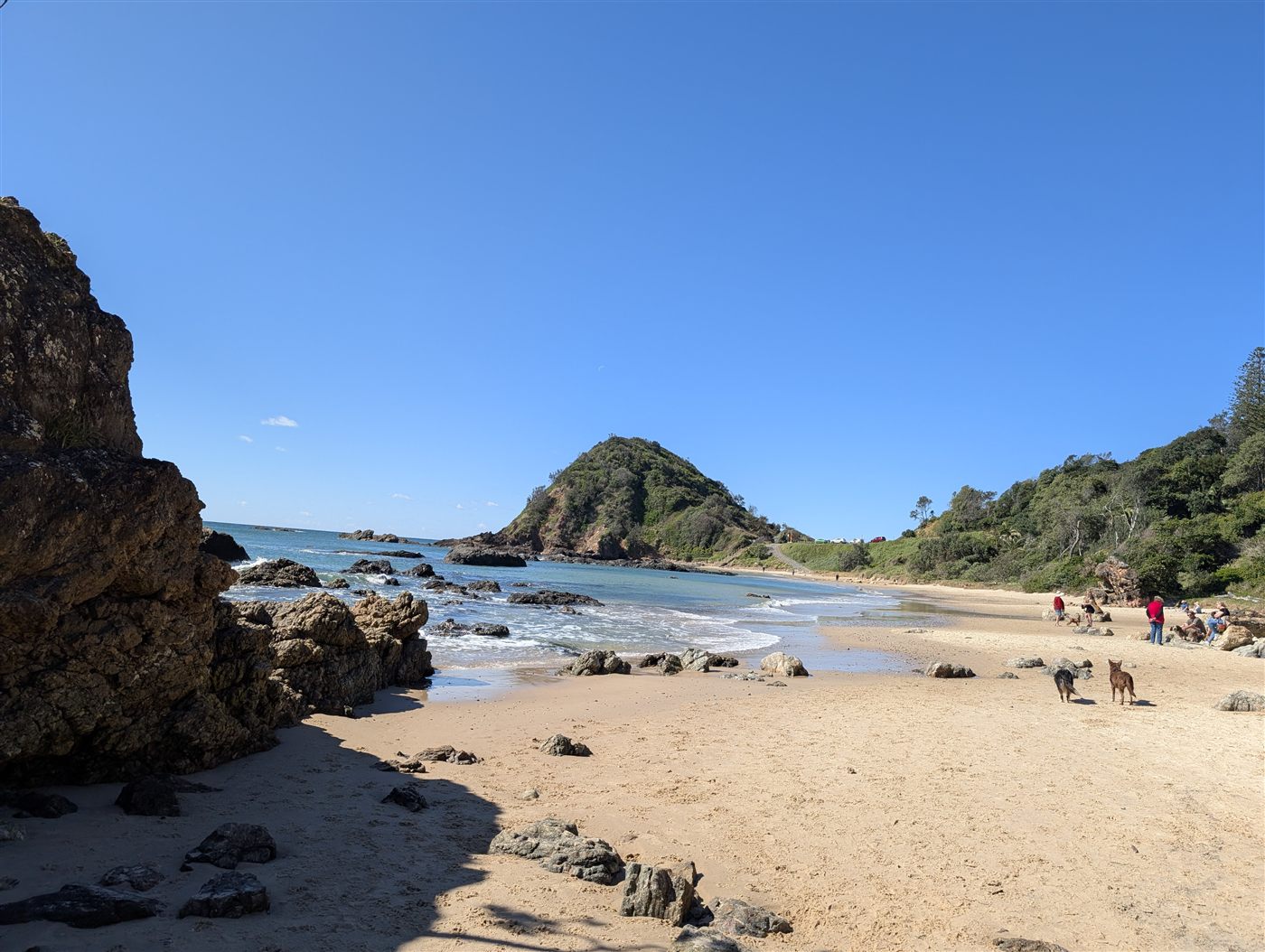 Shelly Beach at Port Macquarie: golden sand, rocky outcrops, a green headland and two dogs playing on the beach